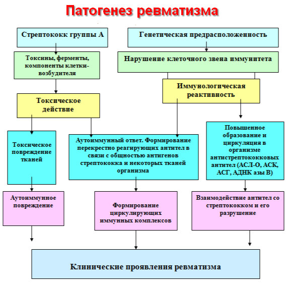 патогенез ОРЛ