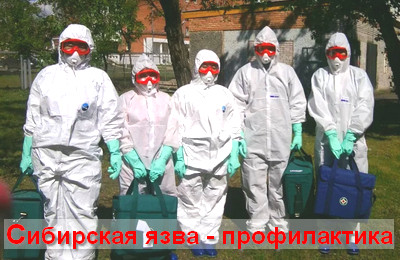 профилактика сибирской язвы