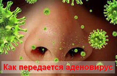 как передается аденовирус