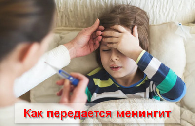 как передается менингит
