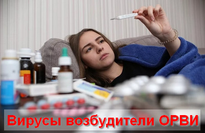 вирусы возбудители ОРВИ
