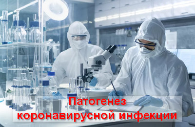 патогенез коронавирусной инфекции
