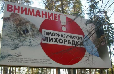 геморрагическая лихорадка симптомы