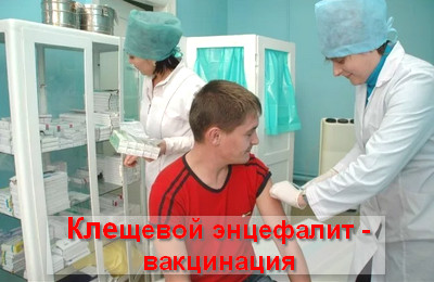 клещевой энцефалит вакцинация