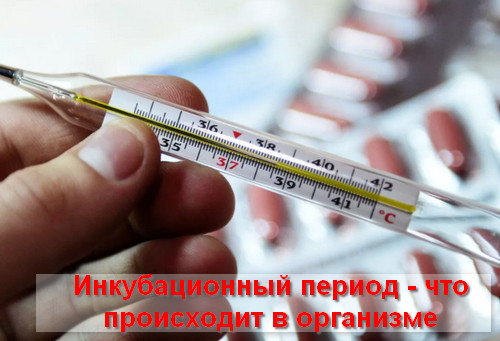 что происходит в организме