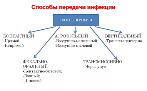 способы передачи инфекции