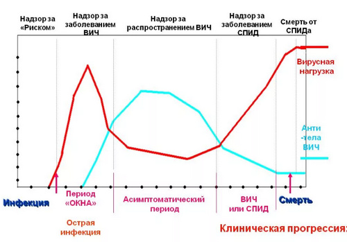 патогенез развития