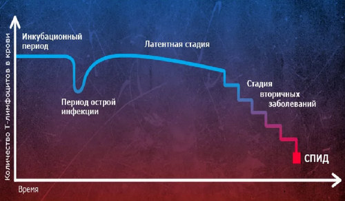 инкубационный период ВИЧ инфекции