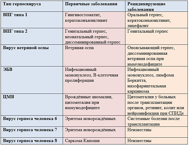 Разновидности герпеса на теле