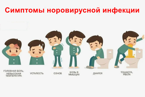 Симптомы норовирусной инфекции