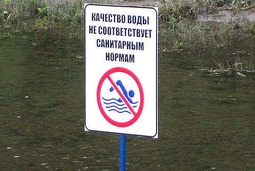 выводы по трематодозам печени