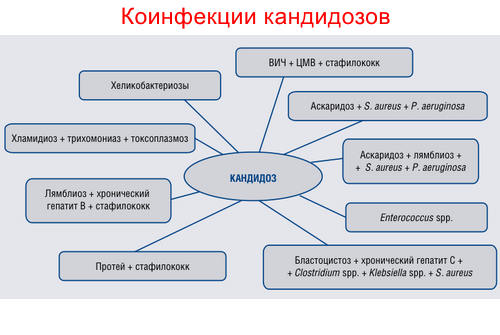Коинфекция при кандидозе