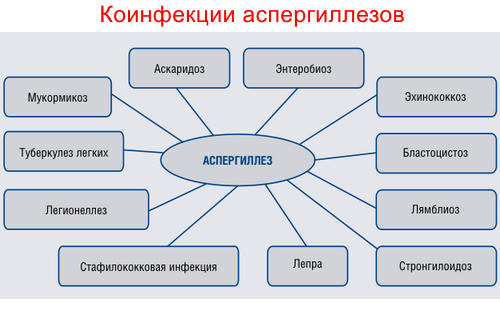 Сочетанные инфекции при аспергиллезе