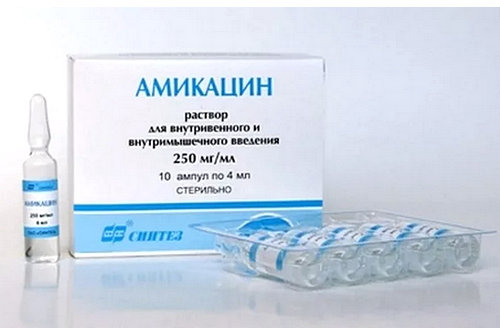 Амикацин в 
 лечении ИМП