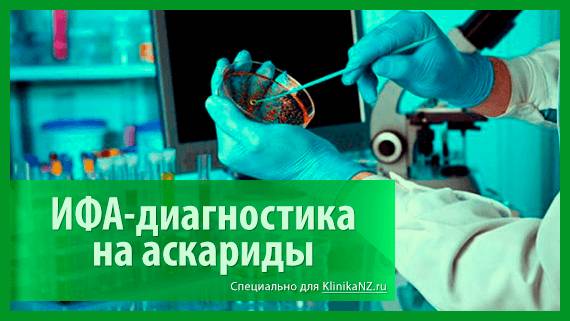 Особенности и методы анализа на антитела к аскаридам