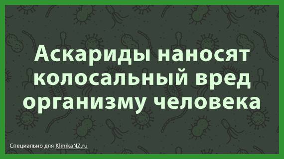 Особенности и методы анализа на антитела к аскаридам