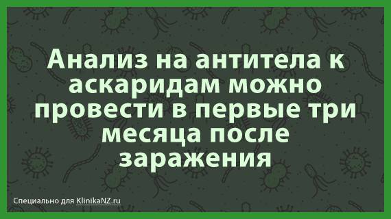 Особенности и методы анализа на антитела к аскаридам