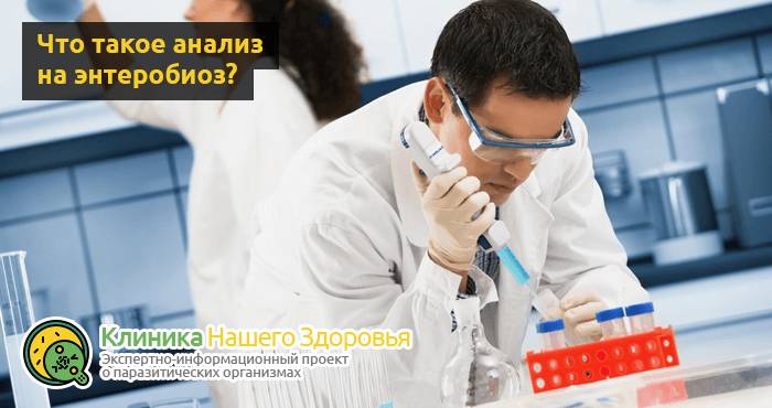 Как сдавать анализ на энтеробиоз (кал, соскоб, мазок, кровь) взрослым и детям