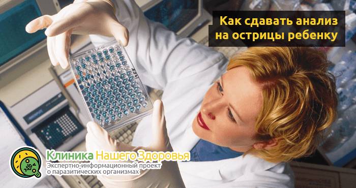 Как сдавать анализ на энтеробиоз (кал, соскоб, мазок, кровь) взрослым и детям