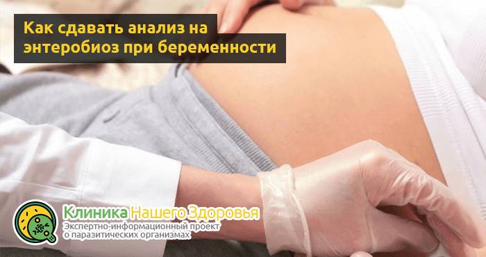Как сдавать анализ на энтеробиоз (кал, соскоб, мазок, кровь) взрослым и детям