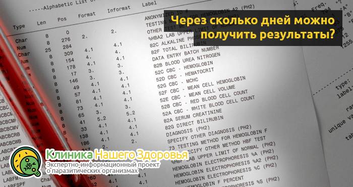 Анализ на гименолепидоз: как сдавать, подготовка, результаты