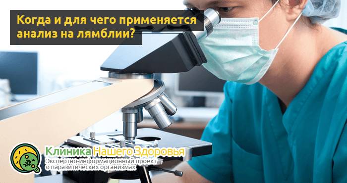 Анализ крови и кала на лямблии: подготовка, правила и особенности