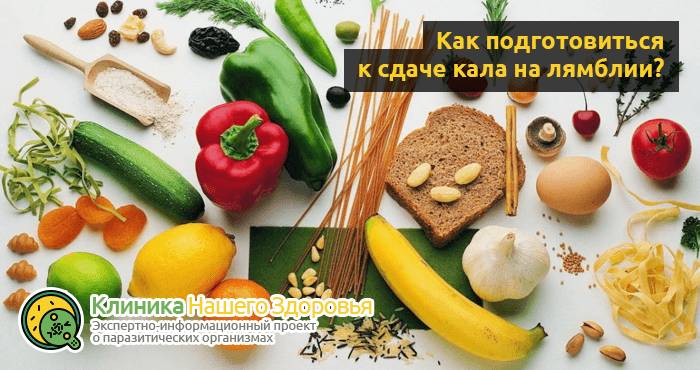 Анализ крови и кала на лямблии: подготовка, правила и особенности