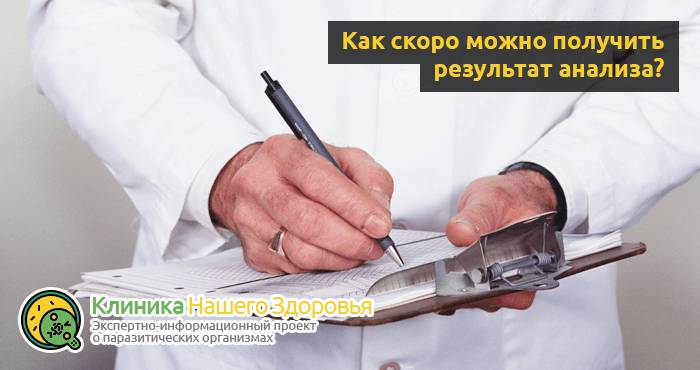 Анализ крови и кала на лямблии: подготовка, правила и особенности