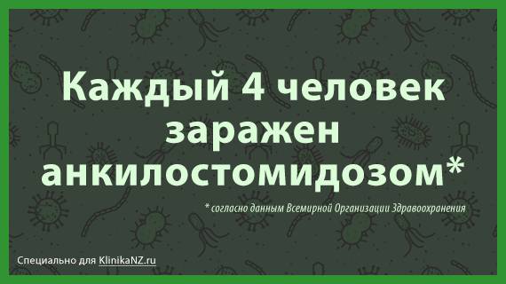 Анкилостомидоз: симптомы и лечение, особенности и развитие