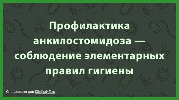 Анкилостомидоз: симптомы и лечение, особенности и развитие