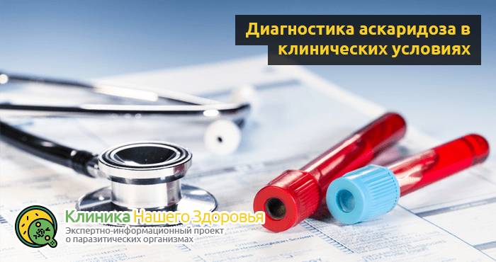 Аскаридоз: описание болезни, симптомы, диагностика и лечение