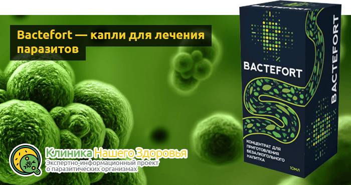 Bactefort — капли от паразитов: цена, отзывы и инструкция