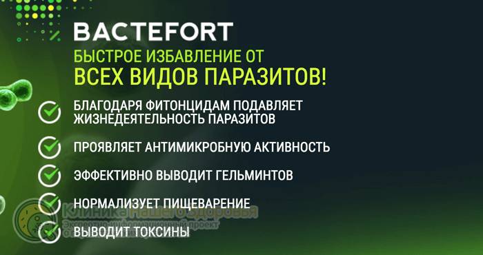 Bactefort — капли от паразитов: цена, отзывы и инструкция