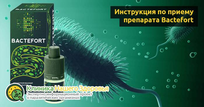 Bactefort — капли от паразитов: цена, отзывы и инструкция