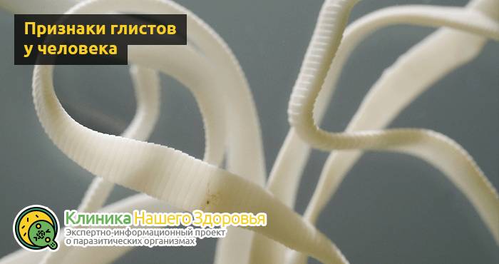 Gelmifort от паразитов: отзывы, цена, где купить Гельмифорт