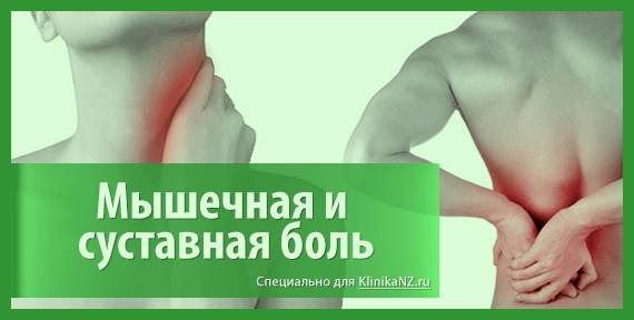 Глистная инвазия: формы, симптомы, лечение и профилактика