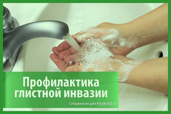 Профилактика глистной инвазии