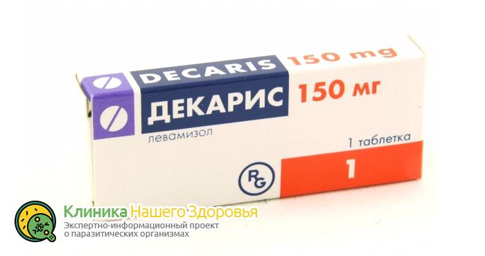 Профилактика глистов у взрослых: лекарства, таблетки и народные средства