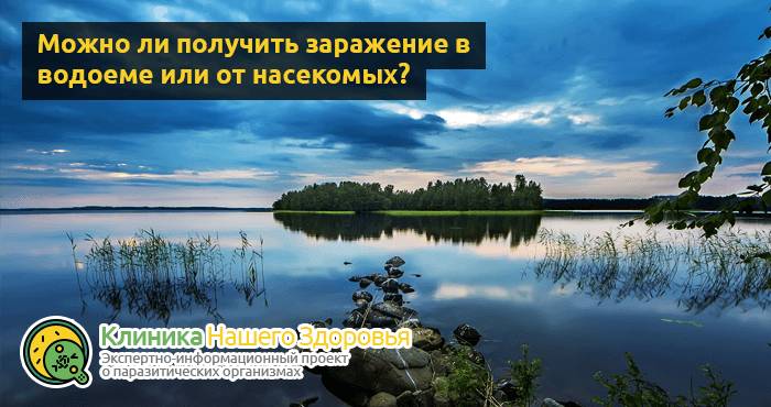 Как передаются глисты от человека к человеку