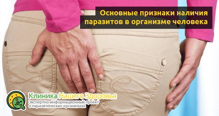Глисты в кале: как выглядят яйца глистов и взрослые гельминты?