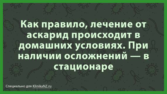 Как избавиться от аскарид в домашних условиях