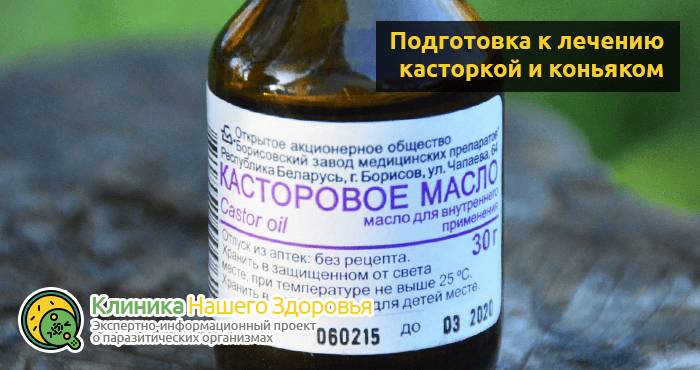 Касторка с коньяком: очищение организма от паразитов и глистов