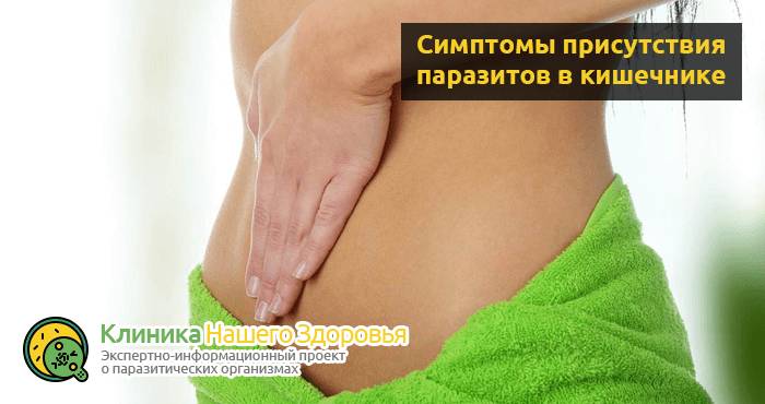 Паразиты в кишечнике человека: симптомы, признаки и лечение
