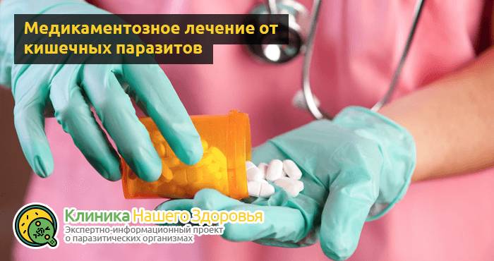 Паразиты в кишечнике человека: симптомы, признаки и лечение