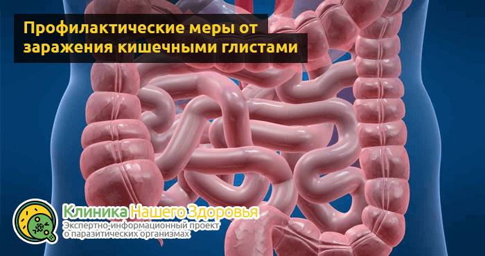 Паразиты в кишечнике человека: симптомы, признаки и лечение