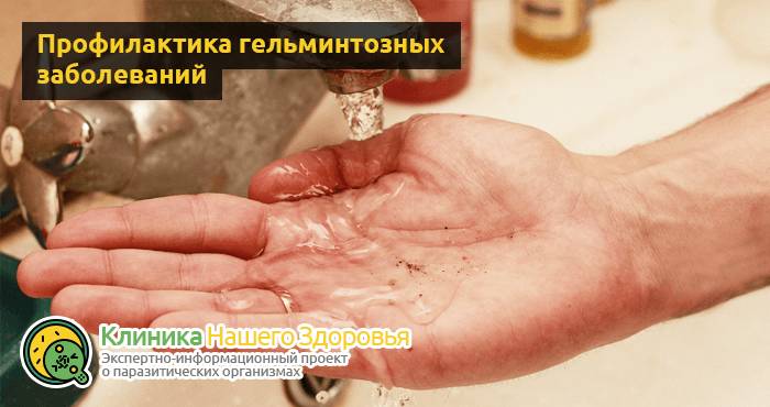 Лечение от глистов у человека: чем лечиться от гельминтов