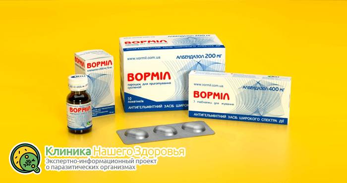 Лечение от глистов у человека: чем лечиться от гельминтов