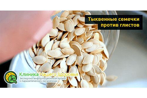 Тыквенные семечки от глистов