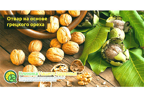 Отвар на основе грецкого ореха от глистов