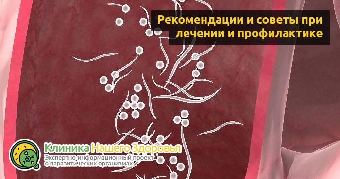 Как избавиться и вывести остриц: лечение в домашних условиях